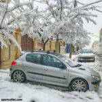 راک روف 206_207